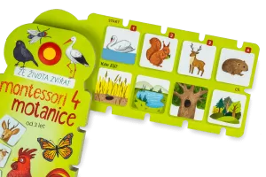 Obrázek produktu MONTESSORI MOTANICE 4.