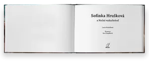 Obrázek produktu NOČNÍ VZDUCHOLOĎ